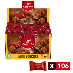 Côte d'or MINI BOUCHÉE (106 st)