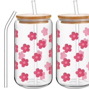 Set van 2 Matcha glazen met deksel en rietje, 473 ml, ideaal voor Bubble Tea, ijskoffie en cocktails, roze drinkglazen voor een stijlvolle presentatie