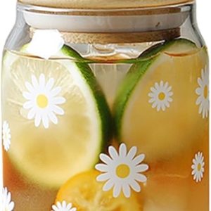 Glas met Deksel en Rietje - 16 oz Drinkbeker met Madeliefjesdesign voor Ijskoffie, Smoothies en Cocktails, Perfect voor Thuis en Feestjes